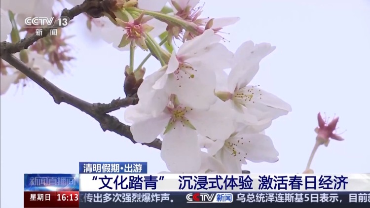 “观光打卡”→“文化踏青” 沉浸式体验春日出游新场景