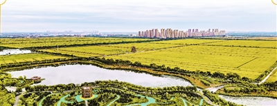 庆农业丰收 享美好生活 2025年天津市“中国农民丰收节”主会场活动举行