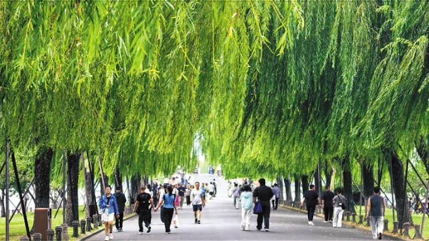 天气“晚来秋”