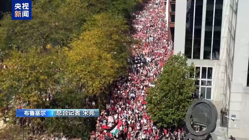 比利时布鲁塞尔数万人游行 抗议以色列在加沙军事行动