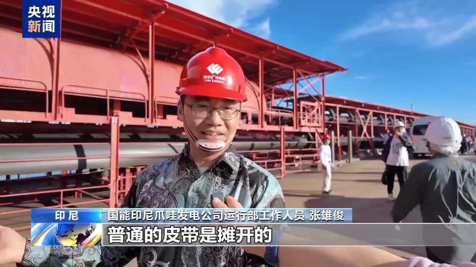 从滩涂到绿洲 中企助力印尼红树林新生