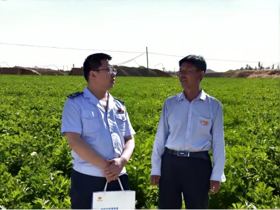 甘肃武威：戈壁滩蔬菜直供粤港湾区 “菜篮子”里的合规“税”密码_fororder_1