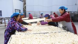 衡阳市非遗鸡萝卜走俏海内外