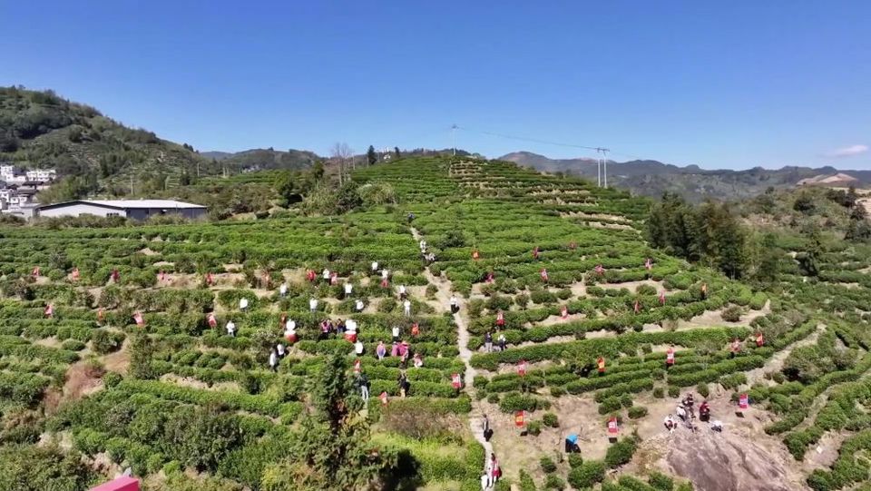 新华视点|产业“破题” 绘就振兴“答卷”