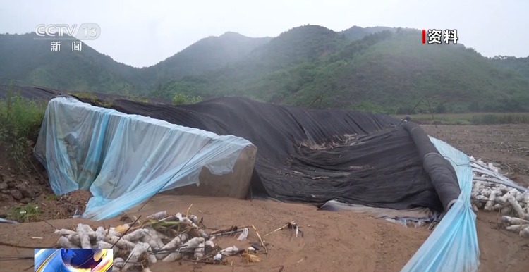 新春走基层丨遭受重创→焕发生机 来看养马甸子乡香菇宝宝的重生日记