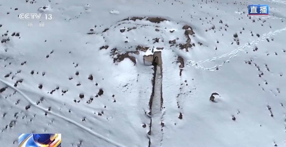 羊群陆续抵达春季牧场！下雪为什么是好事？聊聊转场那些事