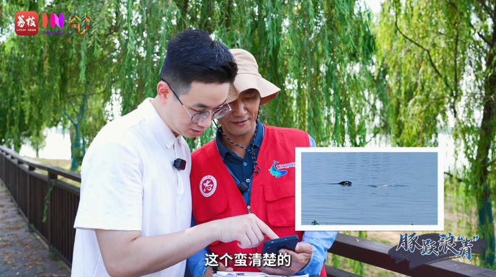 “县”在起笔 青绿绘江山 | 春江十里 豚跃浪“青”