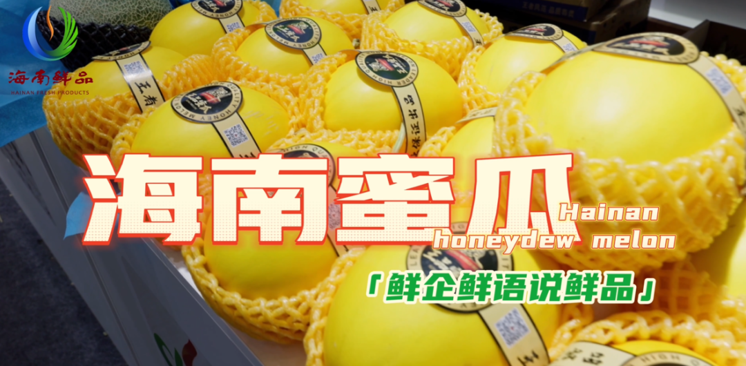 鲜企鲜语说鲜品：海南蜜瓜_fororder_ScreenShot_2025-12-09_140758_692