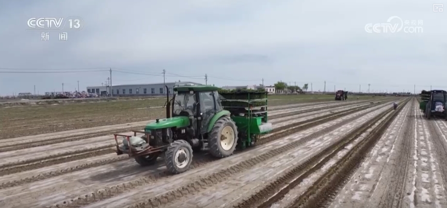 精播细作提质增效 智能农机成春耕生产“主角”