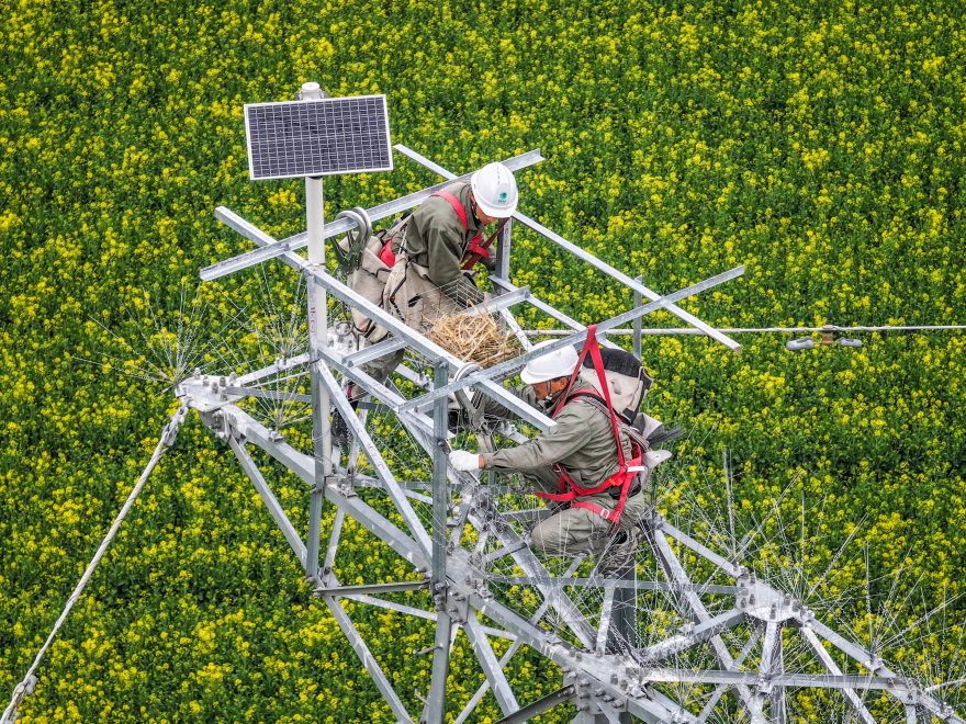 State Grid Jingmen Power Supply Company Implements "Bird + Line Protection" Strategy, Completes First Bird Perch Installation_fororder_图片4