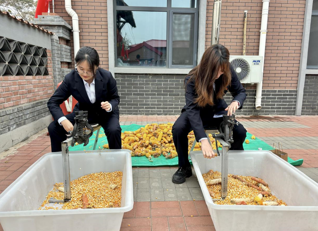天津市津南区：“津彩南望 乐享丰收”八里台镇丰收市集暨“致同道禾”农业协同创新基地服务联盟正式成立