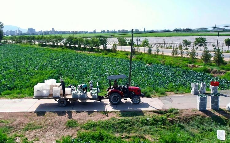 甘肃山丹：点土成金“硒”望无限 富硒农品走俏沪粤市场_fororder_1