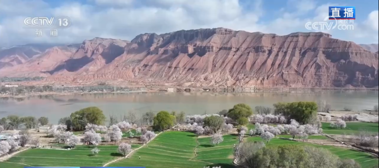 科技加持让春日麦田“节节高” 农旅融合激活乡村经济“步步高”