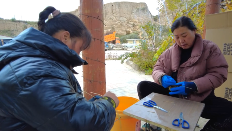 甘肃定西：黄土高原蟹满塘