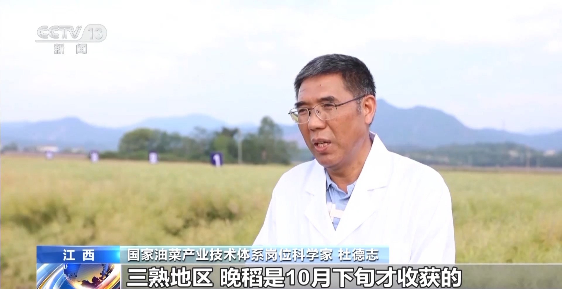 丰收在望！今年我国冬油菜面积1.1亿亩 连续7年增加
