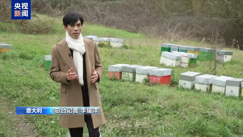 气候变化重创意大利养蜂业：蜂蜜减产 产业前景堪忧