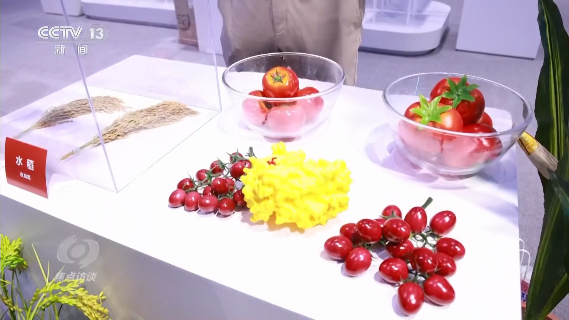 焦点访谈|在这个科技最前沿舞台 看未来五年我们的生活将如何改变