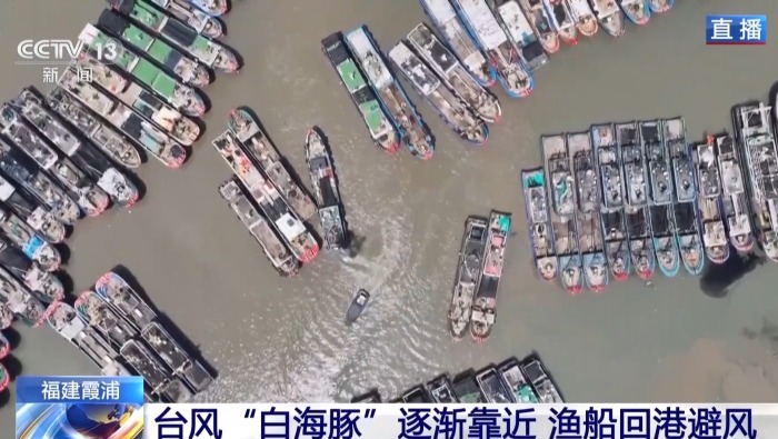 视频丨台风“白海豚”逐渐靠近 福建霞浦“小开渔”推迟
