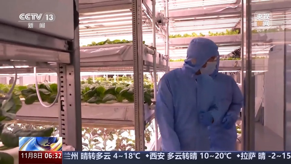 植物工厂长啥样？沙漠里能种水稻？揭秘种菜“黑科技”