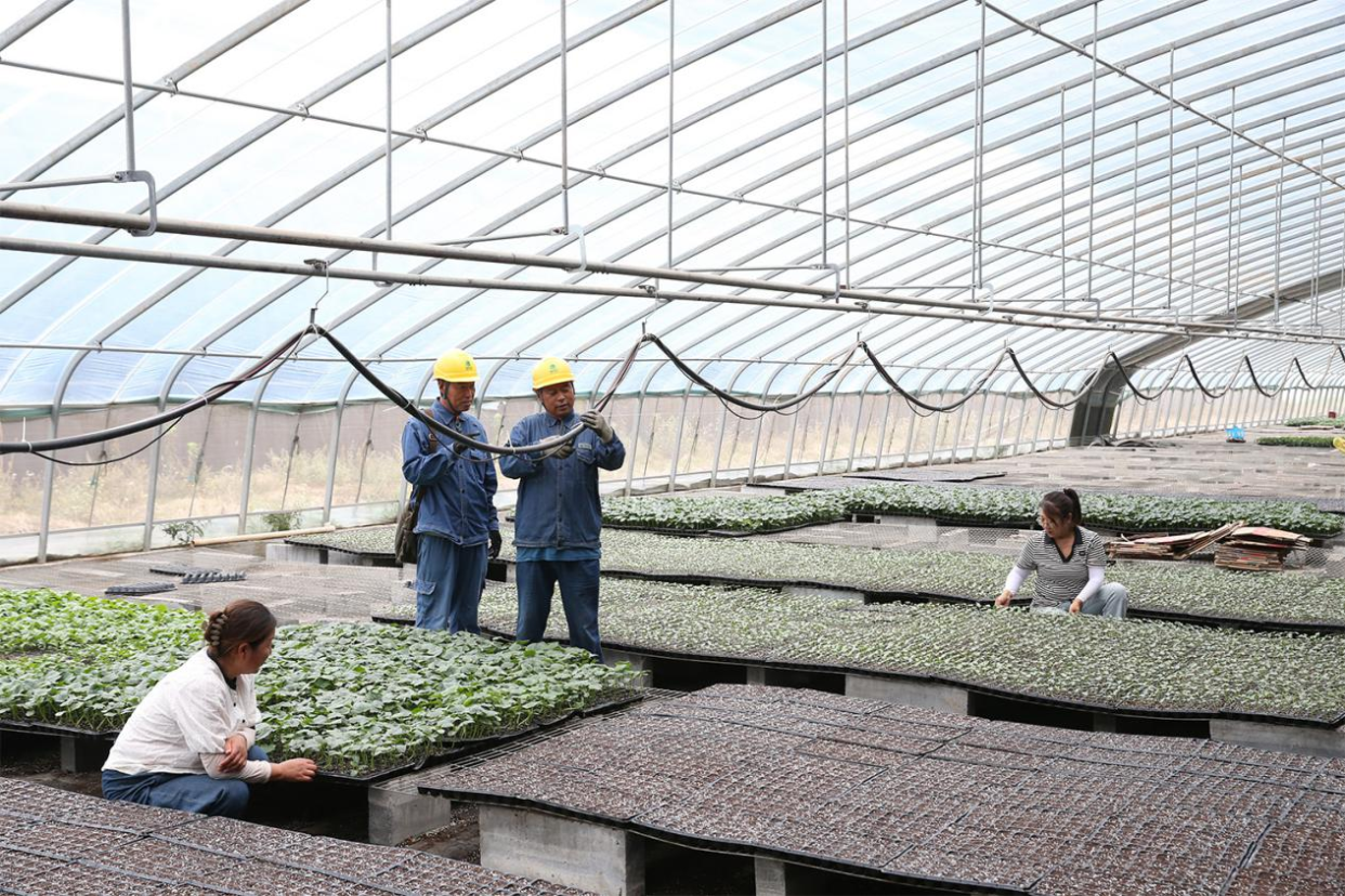 Jiaozuo, Henan: Reliable Power Supply Injects Strong Momentum into the “Vegetable Capital”_fororder_图片2