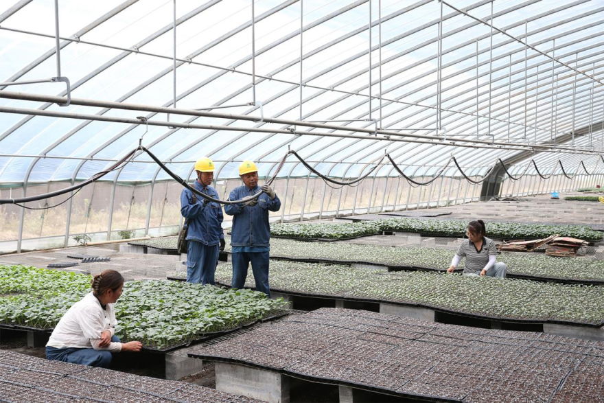 Jiaozuo, Henan: Reliable Power Supply Injects Strong Momentum into the “Vegetable Capital”_fororder_图片2