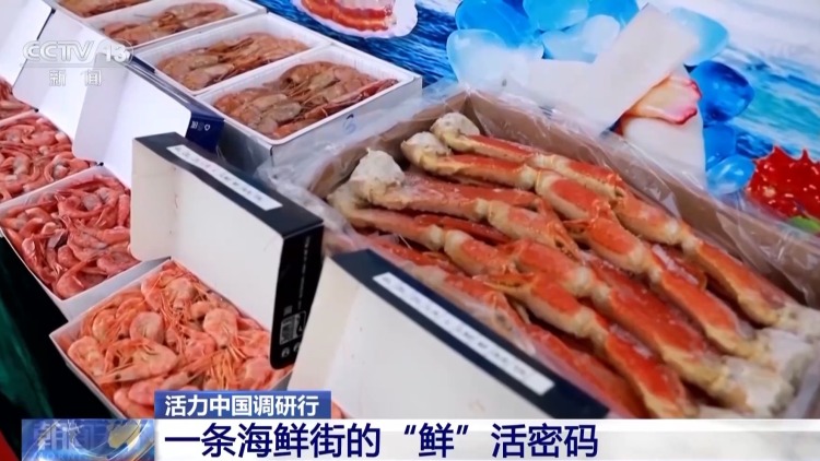 活力中国调研行丨边陲小城奏响海洋经济交响曲