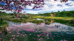 湖南城步苗族自治县以文塑旅 绘就全域旅游新图景