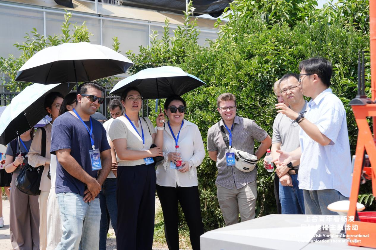 SCO Youth “Check In” at China's Agricultural Science City, Yangling, Exploring New Momentum for International Agricultural Cooperation_fororder_图片7