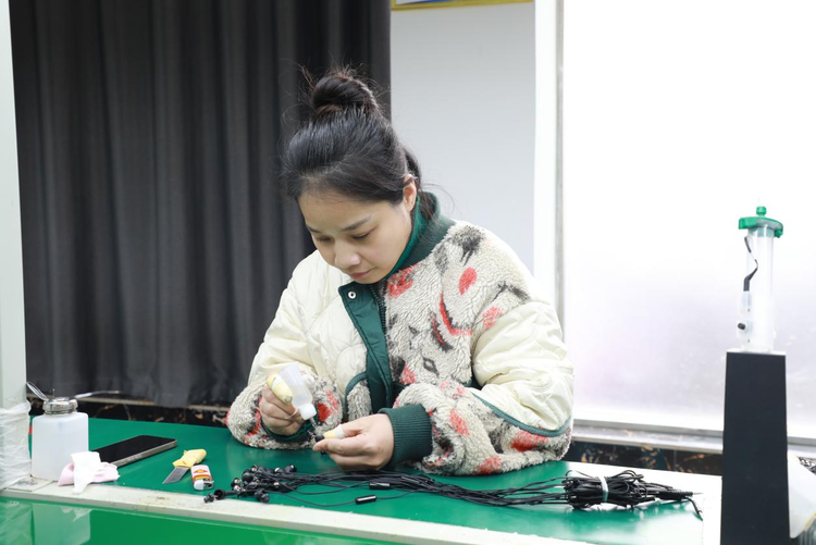湖南衡山县：小车间成就大作为 激活振兴新动能