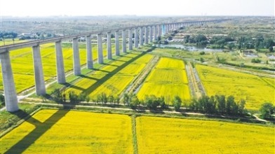 籽籽同心 幸福暖城——内蒙古鄂尔多斯市巩固提升民族团结进步创建成果综述