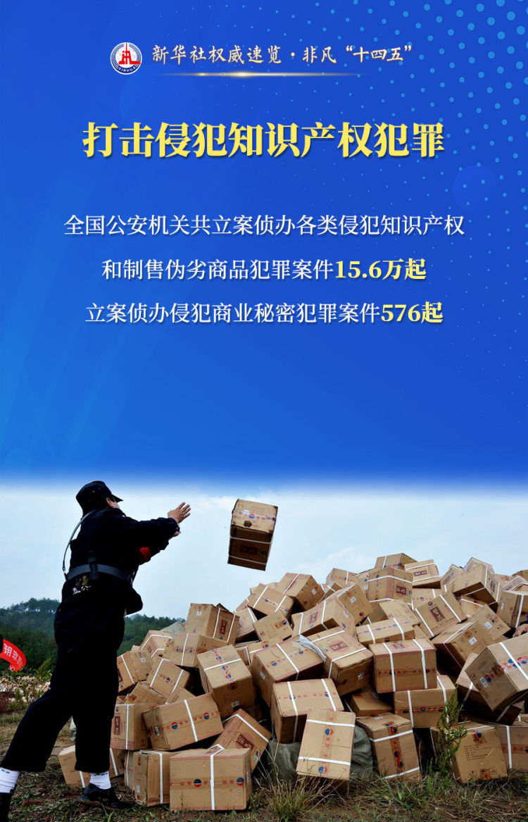 新华社权威速览·非凡“十四五”| 守护“平安中国”，公安机关这样干