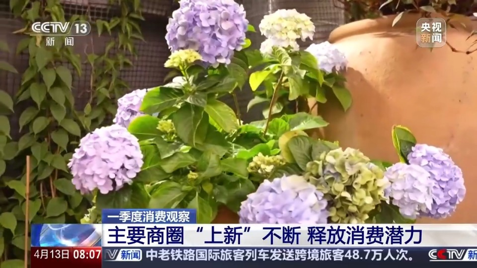 “上新”不断、“破圈”不停 背后有哪些消费市场的“流量密码”？