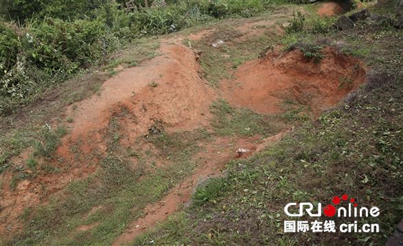 追寻抗战记忆｜影珠山：倭寇未曾留片甲，英魂驻此障长沙_fororder_03