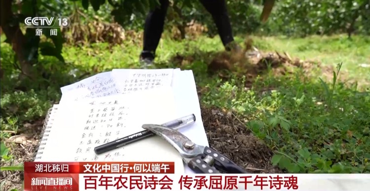文化中国行丨在屈原故里，端午是持续近一个月的节日