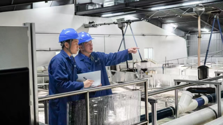 Innovation Norway Sends a Letter of Thanks: Efficient Power Supply Services Win International Recognition