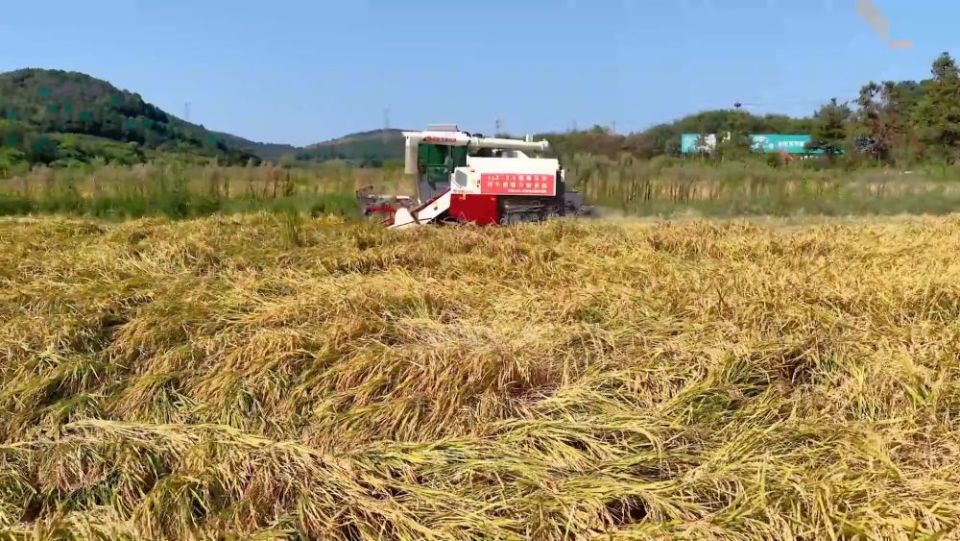 新华视点｜各地多维度发力 多元探索绘就乡村振兴新画卷_fororder_14地通