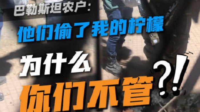 视频丨以军放任 犹太定居者抢夺巴勒斯坦农户果实后嚣张离去_fororder_f130922b72a140dbbbf547c5ef45fe51