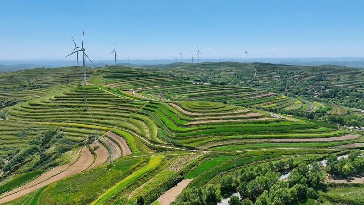 通渭陇山：产业铺就致富路 新风绘就幸福图_fororder_图片5