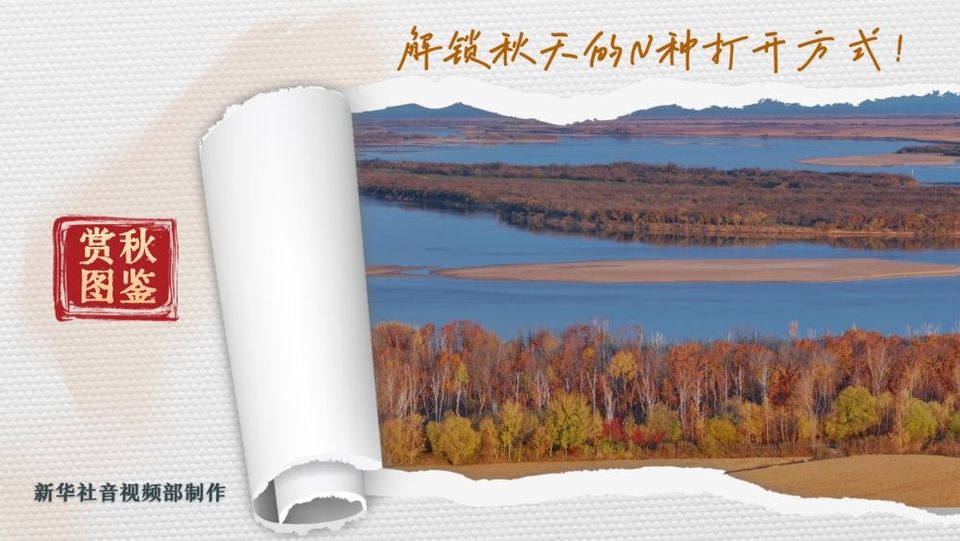 赏秋图鉴,解锁秋天的N种打开方式!