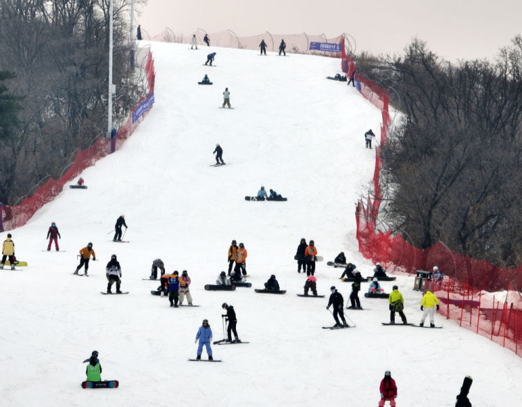 生活观察|寒潮来袭，“速冻”模式如何应对