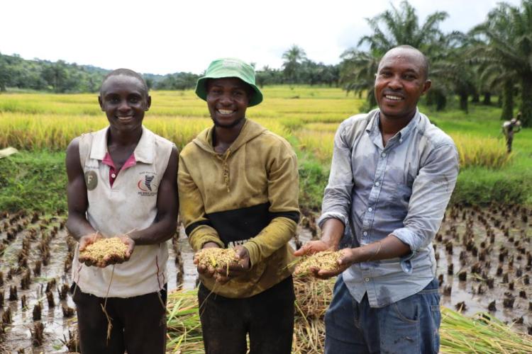 特稿丨大变局中显担当——中国元首外交为动荡世界注入稳定力量