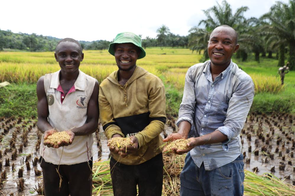 特稿丨大变局中显担当——中国元首外交为动荡世界注入稳定力量