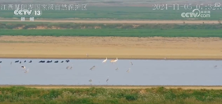 “旅行者”来做客，“美食”多样！唯美生态画卷颜值不断被“刷新”