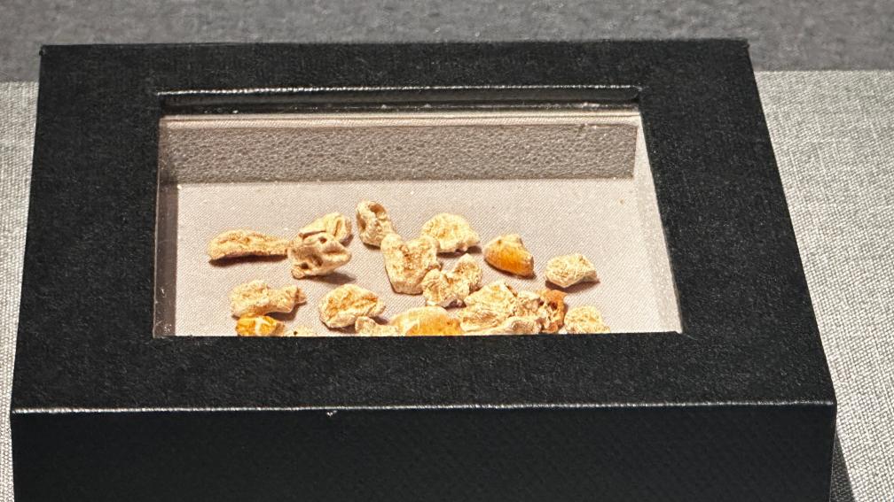 “海昏侯遇见南越王”国庆探馆：从南越国到海昏侯国，管窥西汉盛世之形成