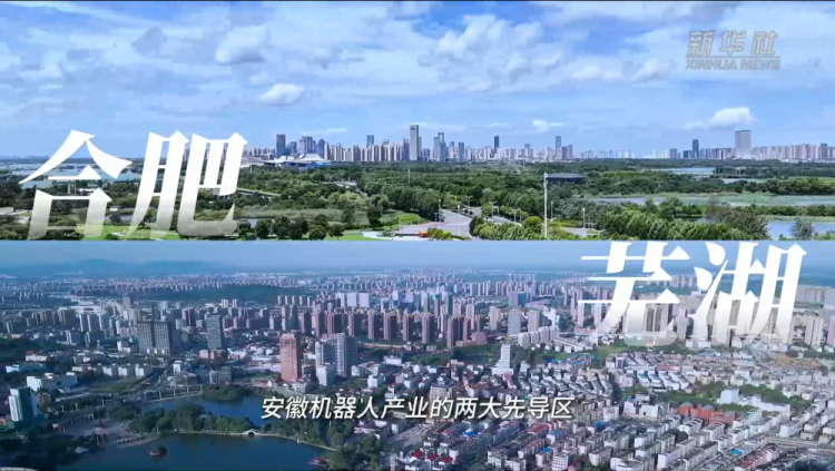 新华全媒+｜一“专”多能，人形机器人开启未来生活无限可能