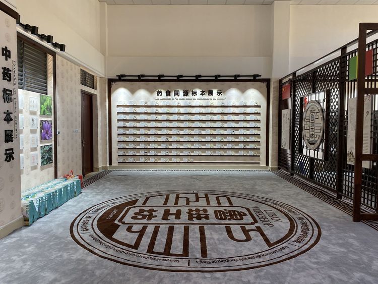 资讯有故事丨让外国人了解中医技术和文化 鲁班工坊有妙招