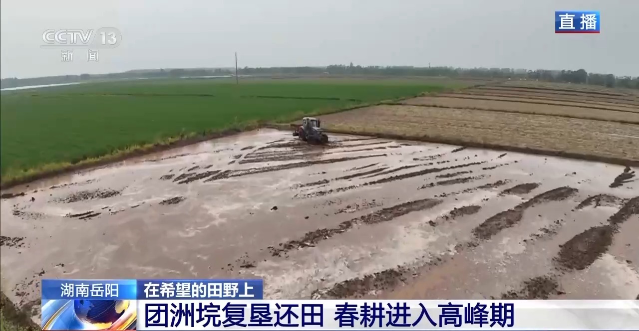 湖南华容团洲垸复垦还田 春耕进入高峰期