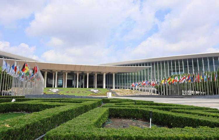 人工智能驱动 绿色低碳领航——第八届进博会将成为观察全球产业升级新窗口