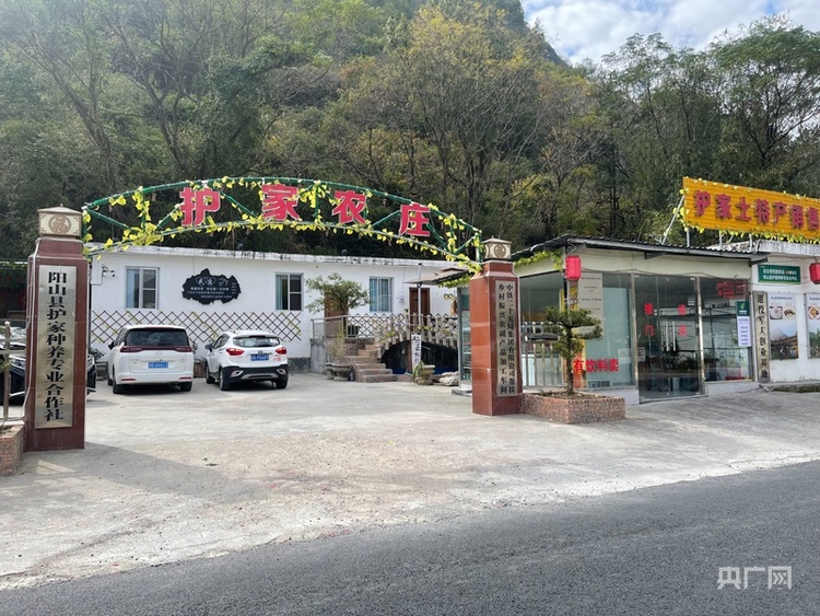 【高质量发展看中国】乡村振兴大道上的那抹“红”——走近清远“兵支书”