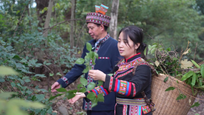 湖南省永州市江華ヤオ族自治県、高齢者向けサービス体系を構築